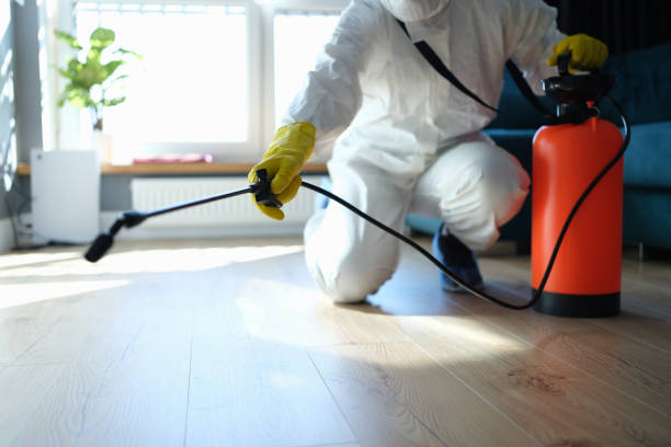 Reliable Sewage Cleanup contractor in West Hollywood, CA by Dulley Family Biohazard Services
